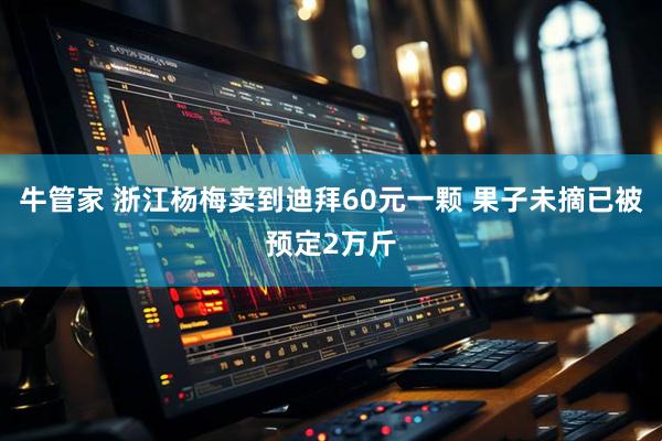 牛管家 浙江杨梅卖到迪拜60元一颗 果子未摘已被预定2万斤