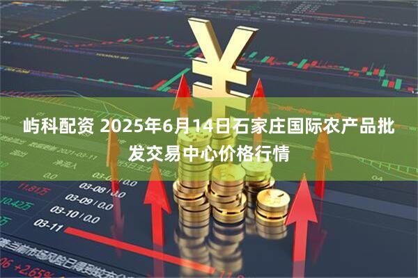 屿科配资 2025年6月14日石家庄国际农产品批发交易中心价格行情
