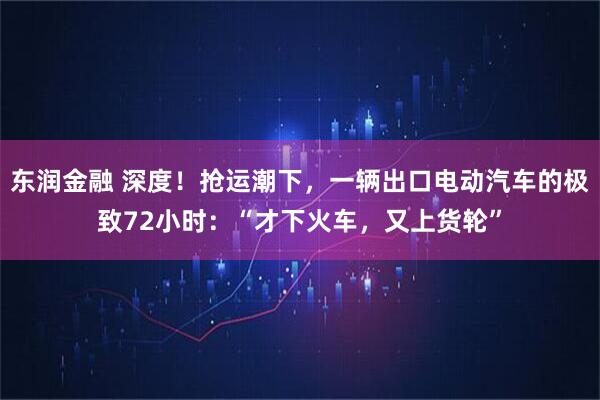 东润金融 深度!抢运潮下,一辆出口电动汽车的极致72小时:“才下火车,又上货轮”