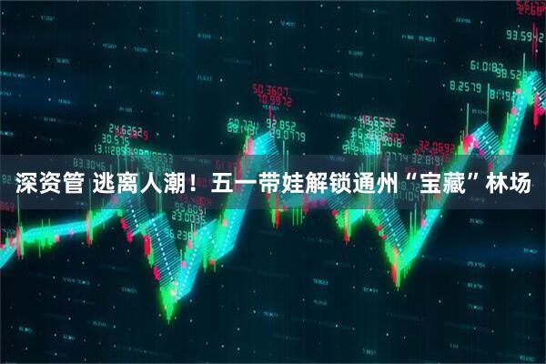 深资管 逃离人潮！五一带娃解锁通州“宝藏”林场